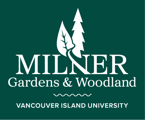 VIU Logo